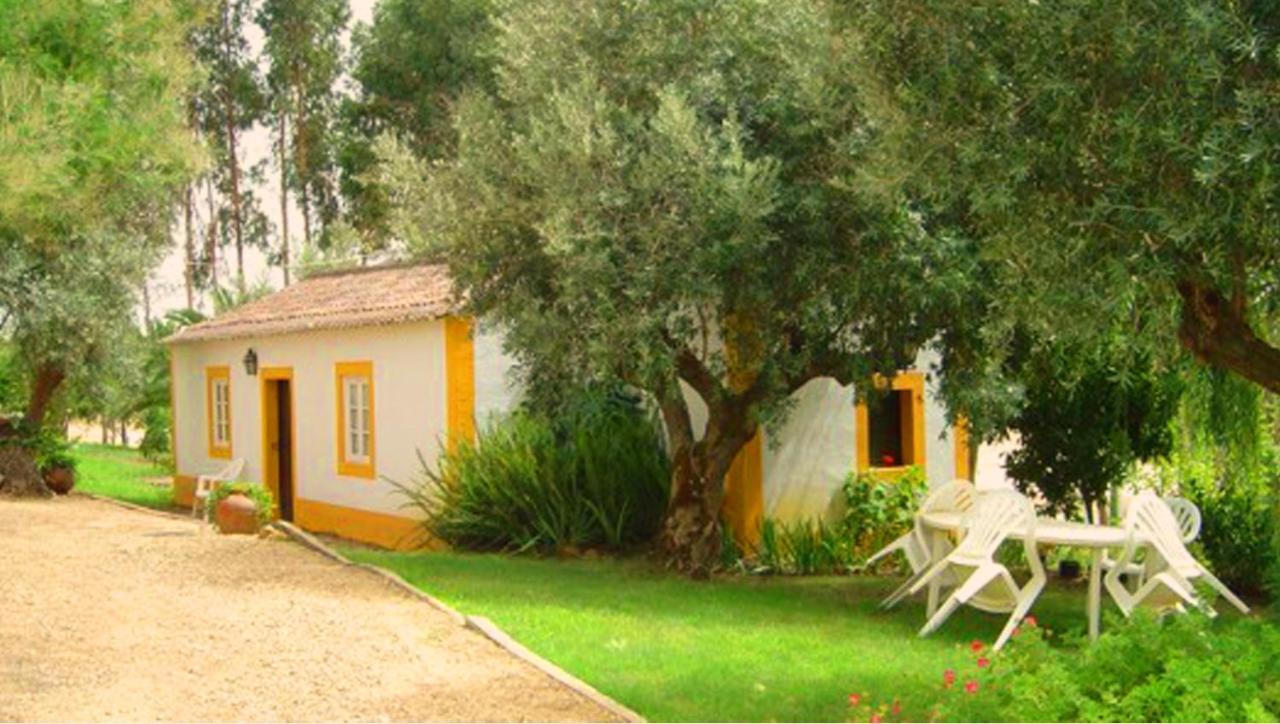 Quinta Do Pinhal Villa Constância Buitenkant foto