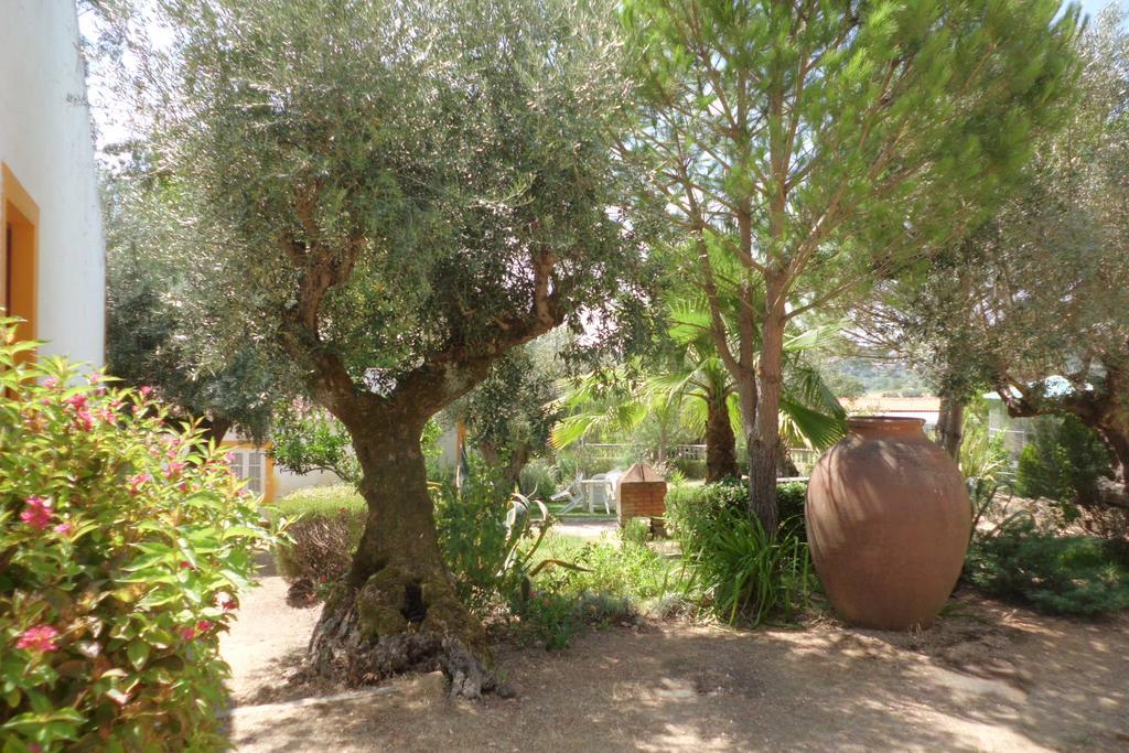 Quinta Do Pinhal Villa Constância Buitenkant foto